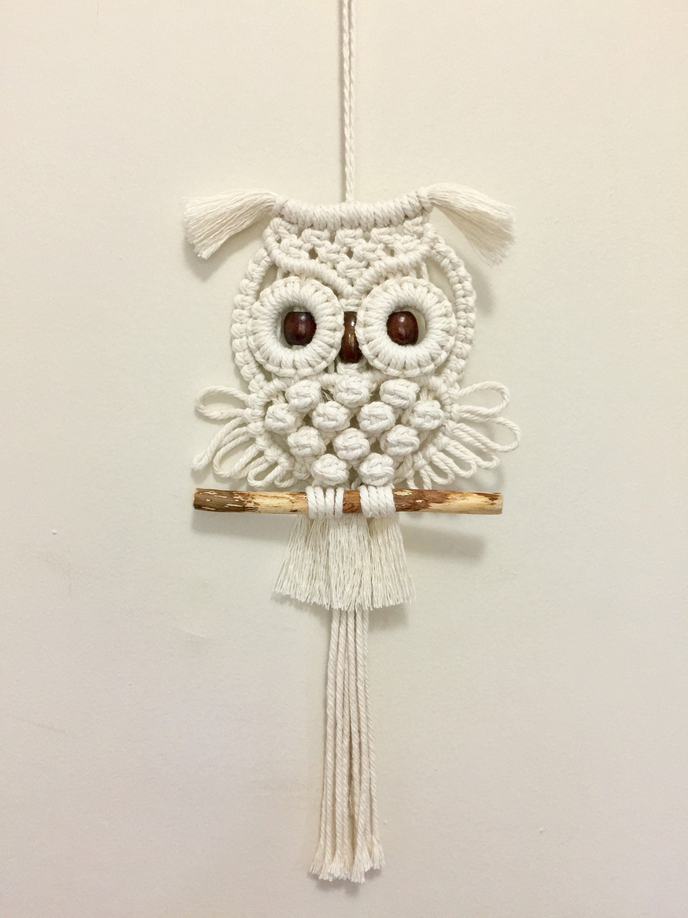 Do It Yourself Kits, Macrame Owl Kit Beginner, Macrame Wall Hanging Craft  Kit for Adults and Kids 