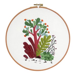 Cactus embroidery kit dessert plants pattern for beginners needlepoint hoop art stitching DIY full set wild plants embroidery