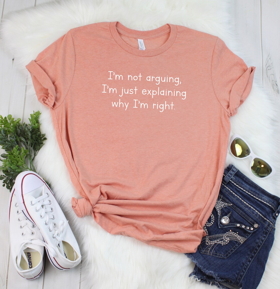 I'm Not Arguing I'm Just Explaining Why I'm Right Shirt Sarcastic Shirt ...