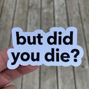 but did you die? Sticker Stop Complaining Funny Meme Sticker Water Bottle Stickers Laptop Stickers Notebook Stickers Car Bumper Stickers