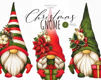 Christmas gnomes PNG clipart. Christmas gnome cute watercolor clipart