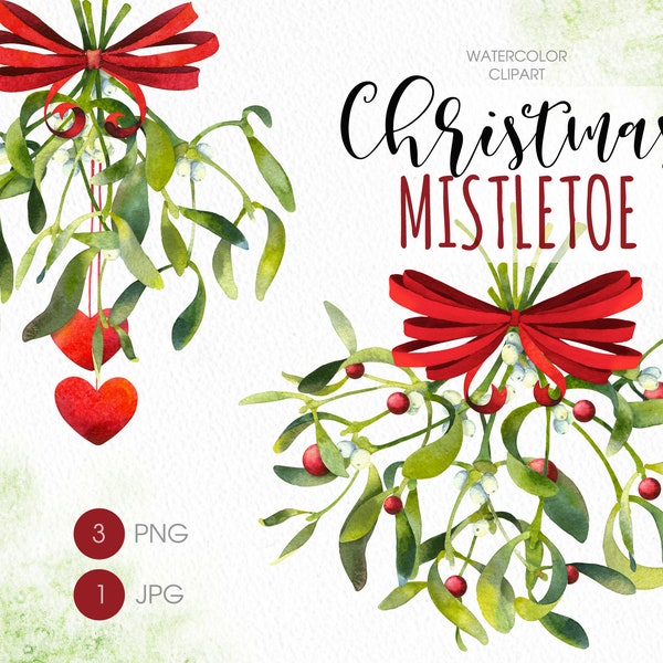 Mistletoe PNG clipart. Christmas mistletoe watercolor clipart