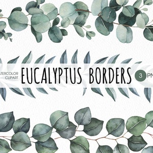 Eukalyptus Umrandung PNG Clipart. Aquarell Eukalyptus nahtloser Rand, salbeigrüne Grüngirlande. Digitaler Download Sublimationsdesigns
