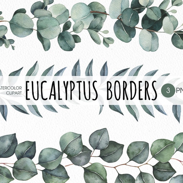 Eucalyptus border PNG clipart.  Watercolor eucalyptus seamless border, sage green greenery garland. Digital download sublimation designs