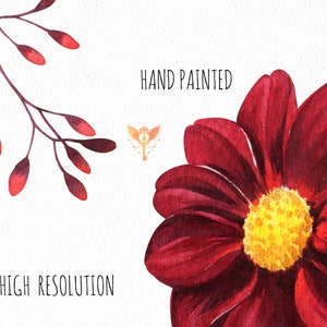 May include: Hand painted watercolor illustration of a single red flower with a yellow center. The text "HAND PAINTED" and "HIGH RESOLUTION" is visible in the image.
