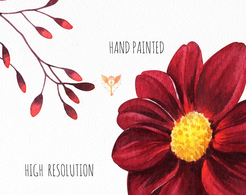 May include: Hand painted watercolor illustration of a single red flower with a yellow center. The text "HAND PAINTED" and "HIGH RESOLUTION" is visible in the image.