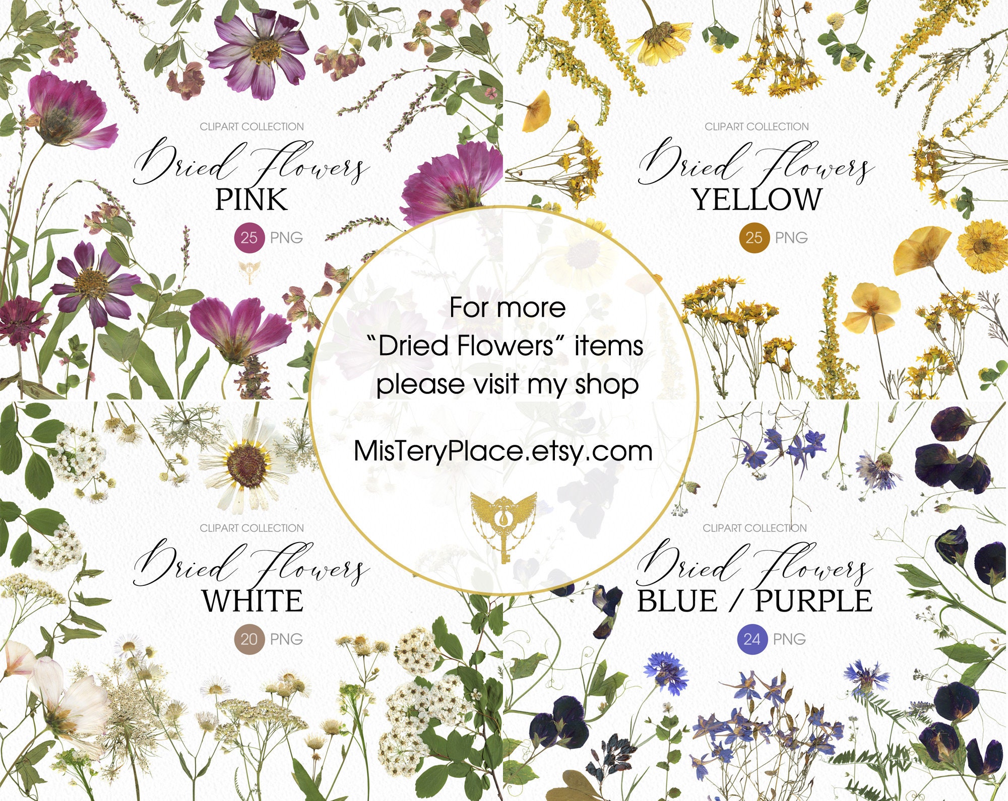 Dried Wild Flowers PNG Clipart. Pressed Assorted Flowers and | Etsy