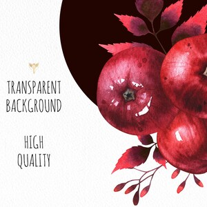May include: Watercolor painting of red apples with leaves on a white background. The background is transparent.