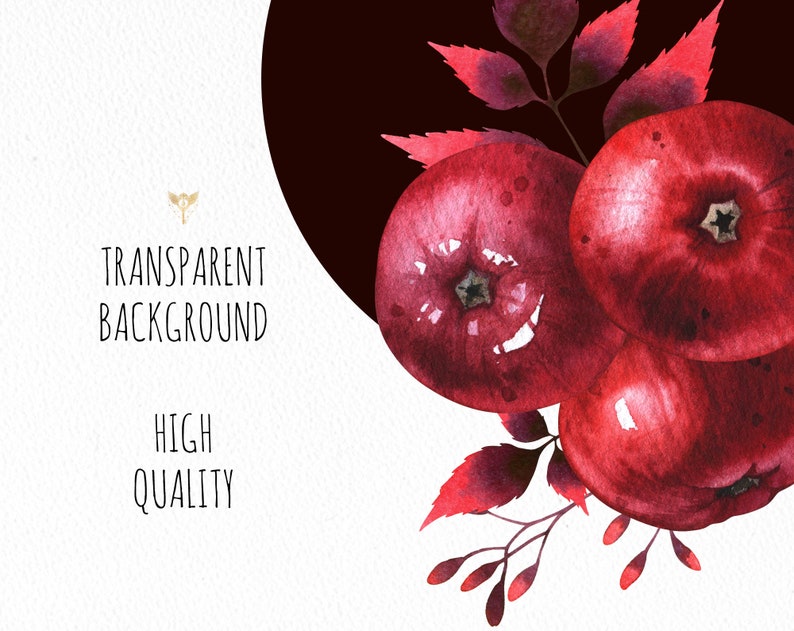 May include: Watercolor painting of red apples with leaves on a white background. The background is transparent.