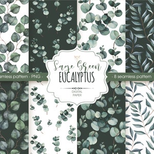 Sage Green Floral digital paper. Eucalyptus seamless pattern. PNG digital paper