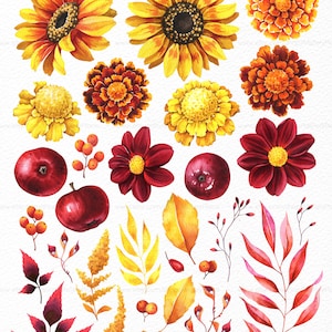 May include: Watercolor illustrations of autumnal elements, including sunflowers, marigolds, dahlias, apples, berries, and leaves in shades of red, yellow, and orange.