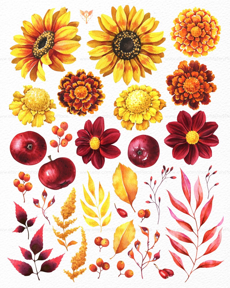 May include: Watercolor illustrations of autumnal elements, including sunflowers, marigolds, dahlias, apples, berries, and leaves in shades of red, yellow, and orange.