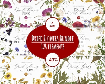 May include: A bundle of six sets of dried flowers, including pink, blue, white, yellow, and wild flowers. The bundle includes 124 elements and is 40% off.
