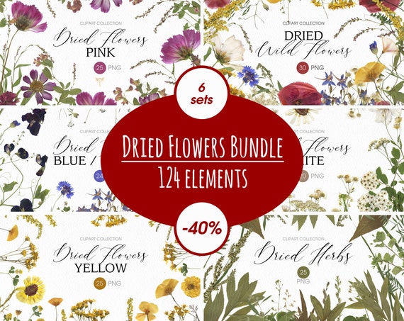 Dried flowers PNG bundle Sale Pressed assorted flowers and | Etsy