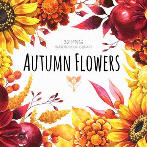 May include: Watercolor clipart featuring autumn flowers in shades of red, orange, and yellow. The flowers include sunflowers, marigolds, and other fall blooms. The image includes the text "32 PNG WATERCOLOR CLIPART AUTUMN FLOWERS".