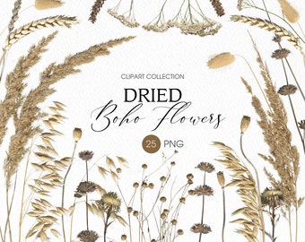 May include: A collection of 25 dried boho flowers, including wheat, oats, and wildflowers, in shades of beige and brown.  The flowers are arranged in a circular pattern on a white background.  The text "Dried Boho Flowers" is written in a decorative font.