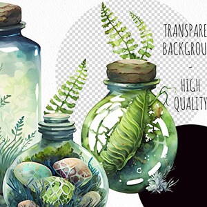 Green Witch PNG clipart. Witchy watercolor clipart. image 5