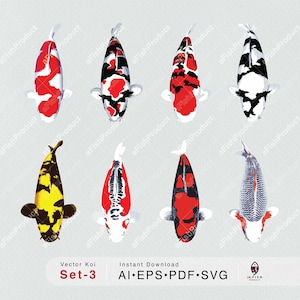 Vector Koi Species Digital Collection