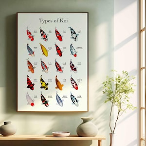 Druckbare Poster Arten von Koi: Koi Fischartenführer mit japanischem und englischem Namen, Wohnzimmerkunst, Digitaldruckset, Galeriewandset