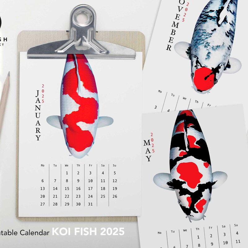 Fish 2025 Wall Calendar - Etsy