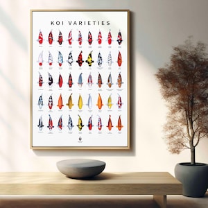 Pode incluir: Um cartaz intitulado "KOI VARIETIES" que apresenta uma coleção de 48 variedades diferentes de peixes koi. Cada peixe é retratado em um fundo branco com seu nome e descrição abaixo.