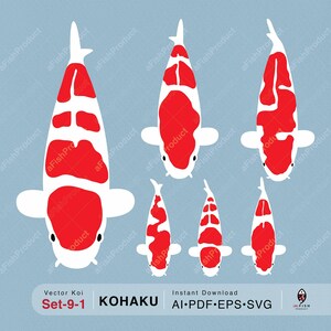 Exquisite Koi Fish Digital Art Collection, Vector Koi Fish, Koi Kohaku