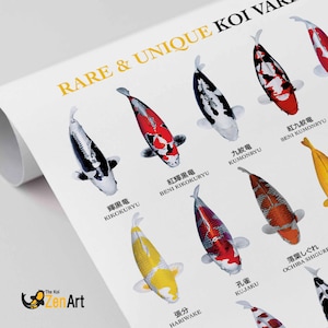 Pobierz cyfrowo | Plakat z rzadkimi odmianami koi, diagram Nishikigoi, japońska sztuka identyfikacji ryb