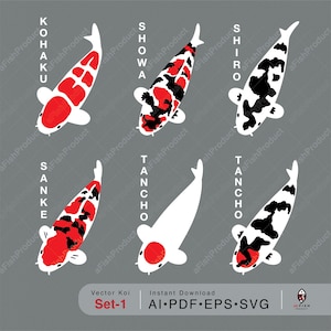 Vector Koi Species Collection, Instant download, Logo Koi fish digital file