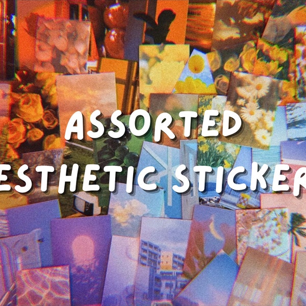 Assorted Aesthetic Sticker Grab Bag