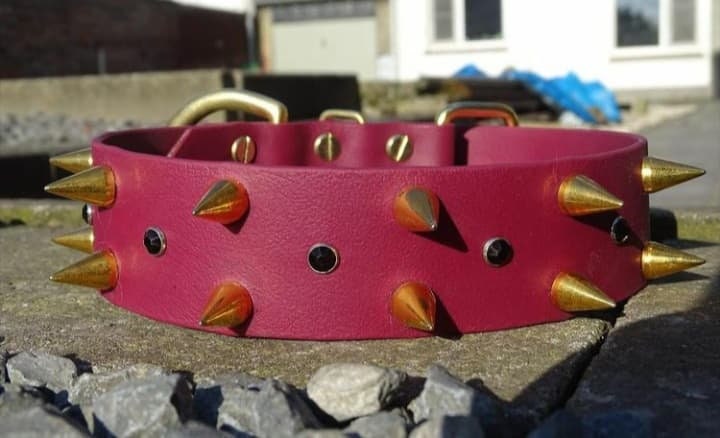 Collier en Biothane - Modèle Tucana