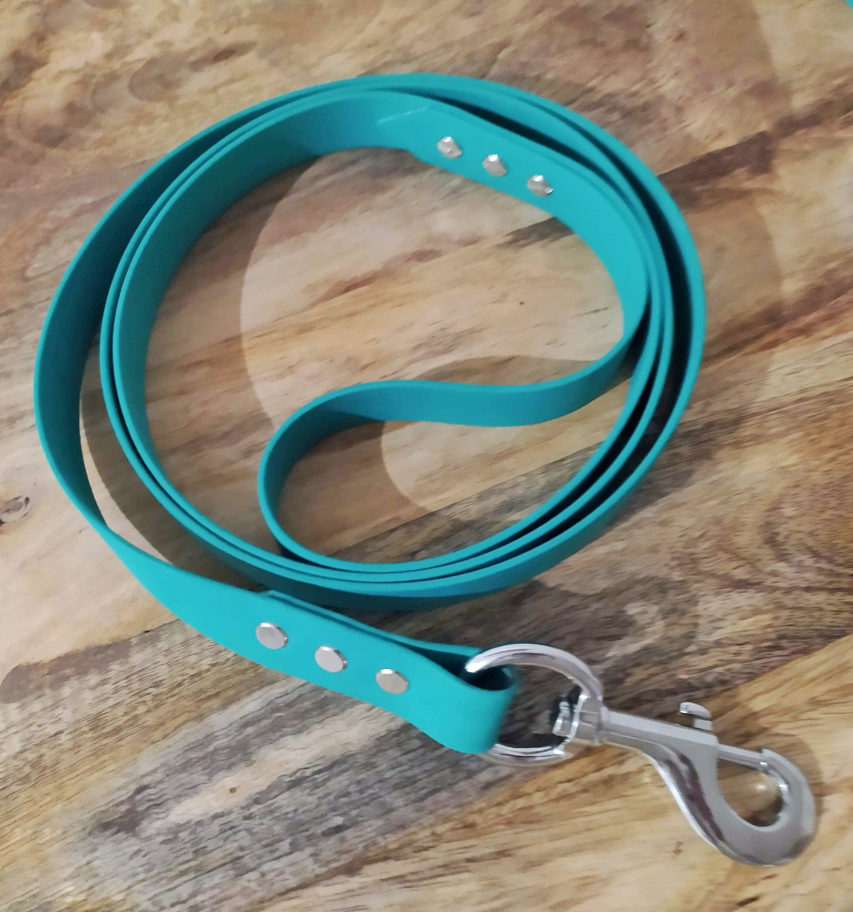 Laisse 25 en Biothane - Gros Mousqueton