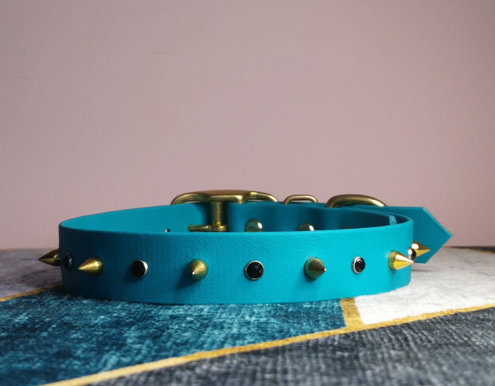 Collier en Biothane - Modèle Ara