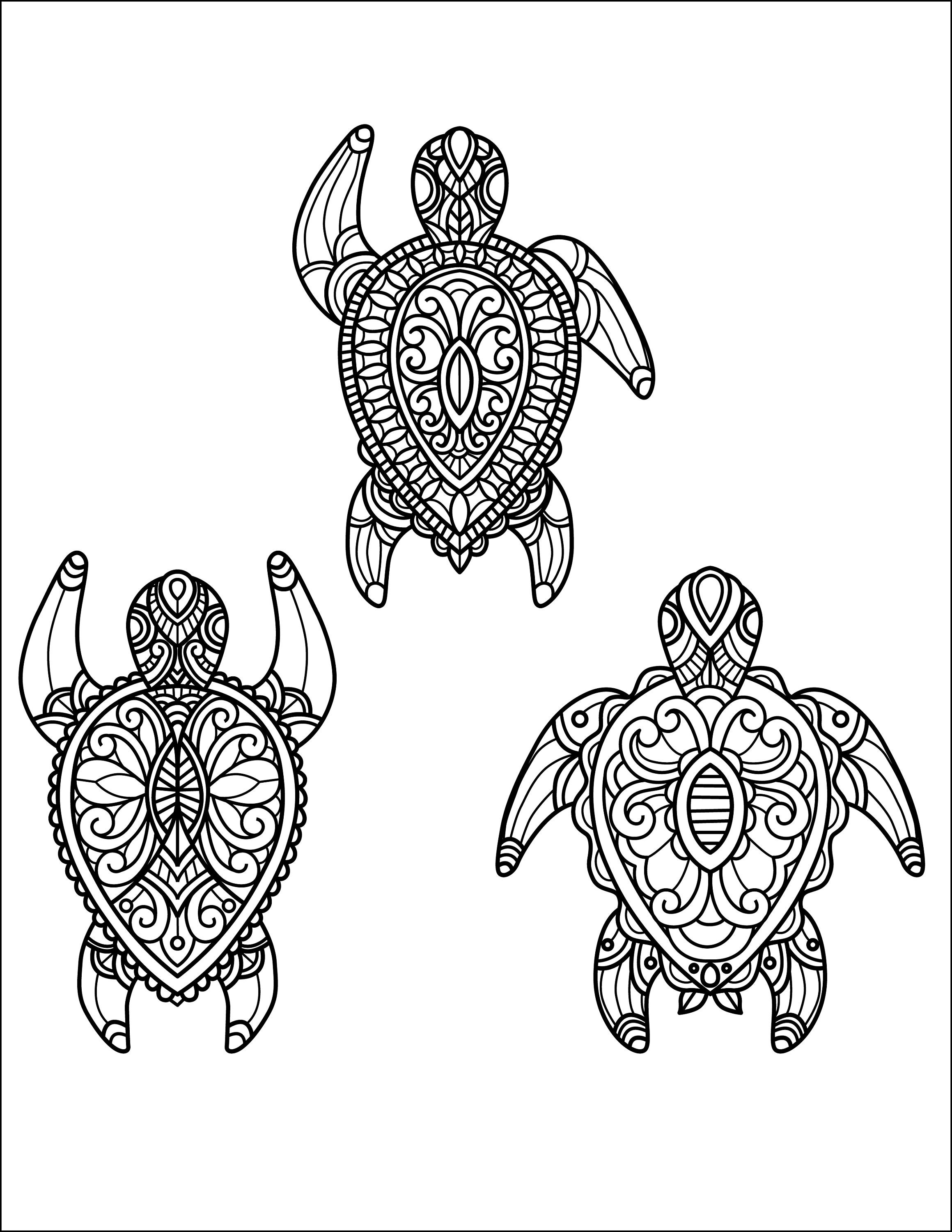 Animal Coloring Pages Set of 10 | Etsy