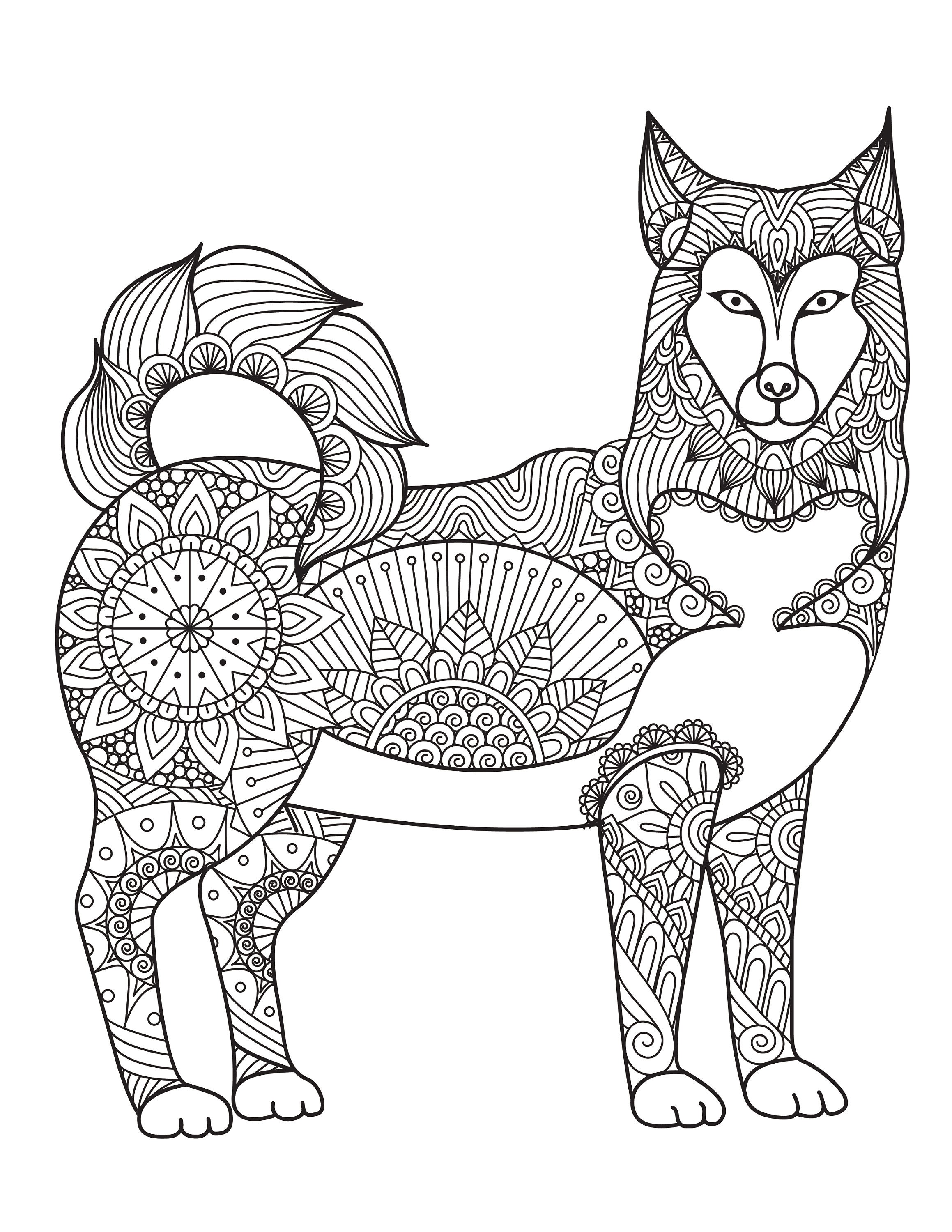 Animal Coloring Pages Set of 10 | Etsy