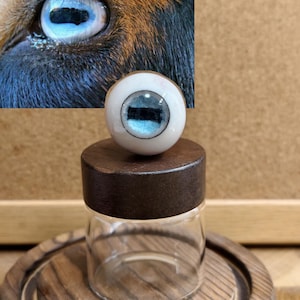 Escultura de arcilla de ojo de cabra: trofeo de mago malvado hecho a mano. Ojo de 30 mm hecho a mano. Ojo de muñeca acrílico. Ojo falso. Decoración de Halloween.