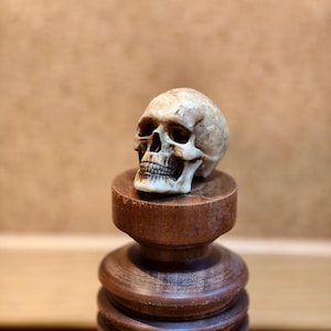 Miniature 3D printed Aged Bone Skull | Hand-Painted Dark Art & Altar Ornament