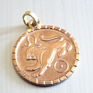 Leo Zodiac Sign, Talisman. New Age Pendant Medallion Charm Horoscope TT 105
