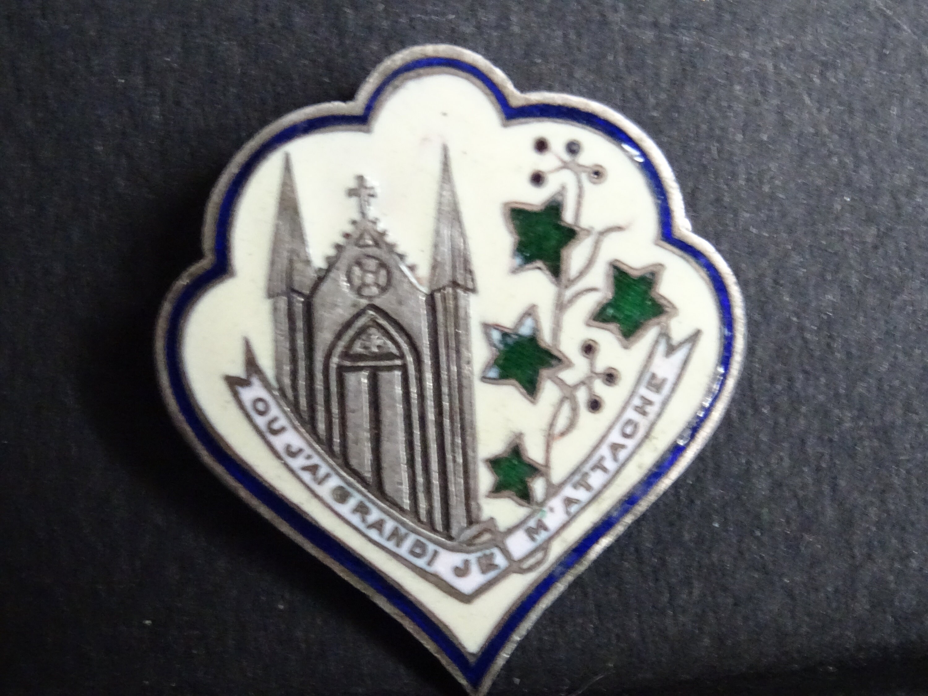 Émail Français Brooch Badge ou J'ai Grandi Je M'attache