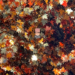 Fall Leaves Shape Chunky Glitter