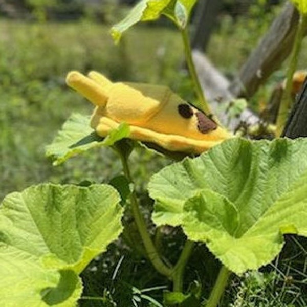 Banana slug