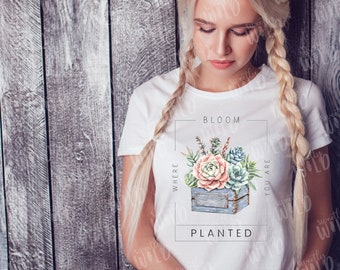 Png Files - Png Designs - Png Downloads - Sublimation - Bloom Where You're Planted Png - Succulent Shirt Png