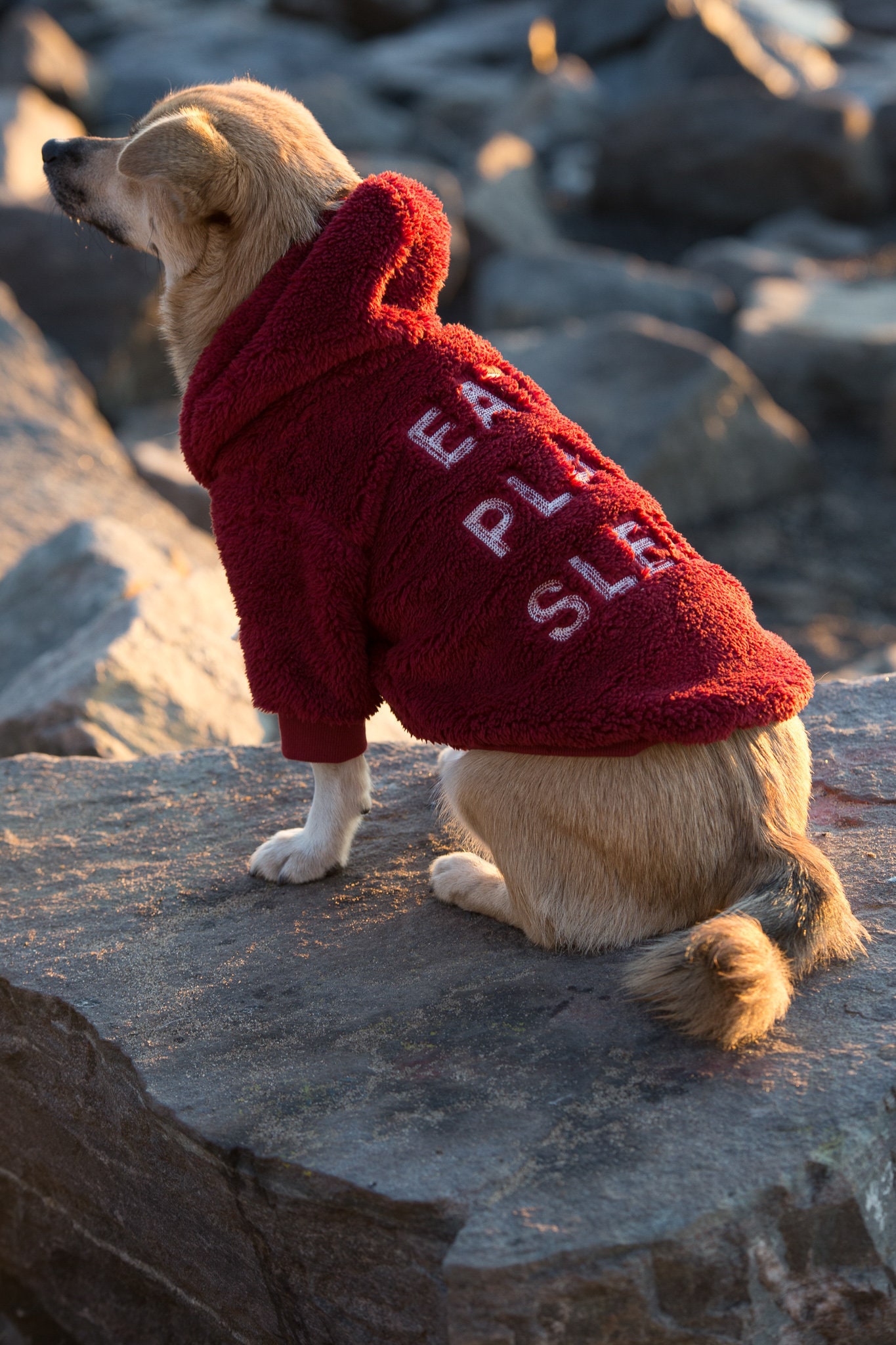 Cozy Dog Fleece Zip Up Hoodie in Wine // dog jacket // dog coat // dog clothes // dog hoodies // dog fashion // gift for dog