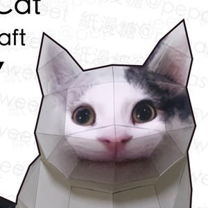 Grote kat memes, 1:1, Papercraft, PDF-sjabloon, DIY, A4