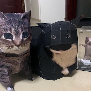 Big memes Cat X2, 1:1 ,happy cat , banana cat , apple cat , memes  , Papercraft , PDF Template , DIY , A4