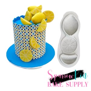 CITRUS SLICE VARIETY Silicone Mold