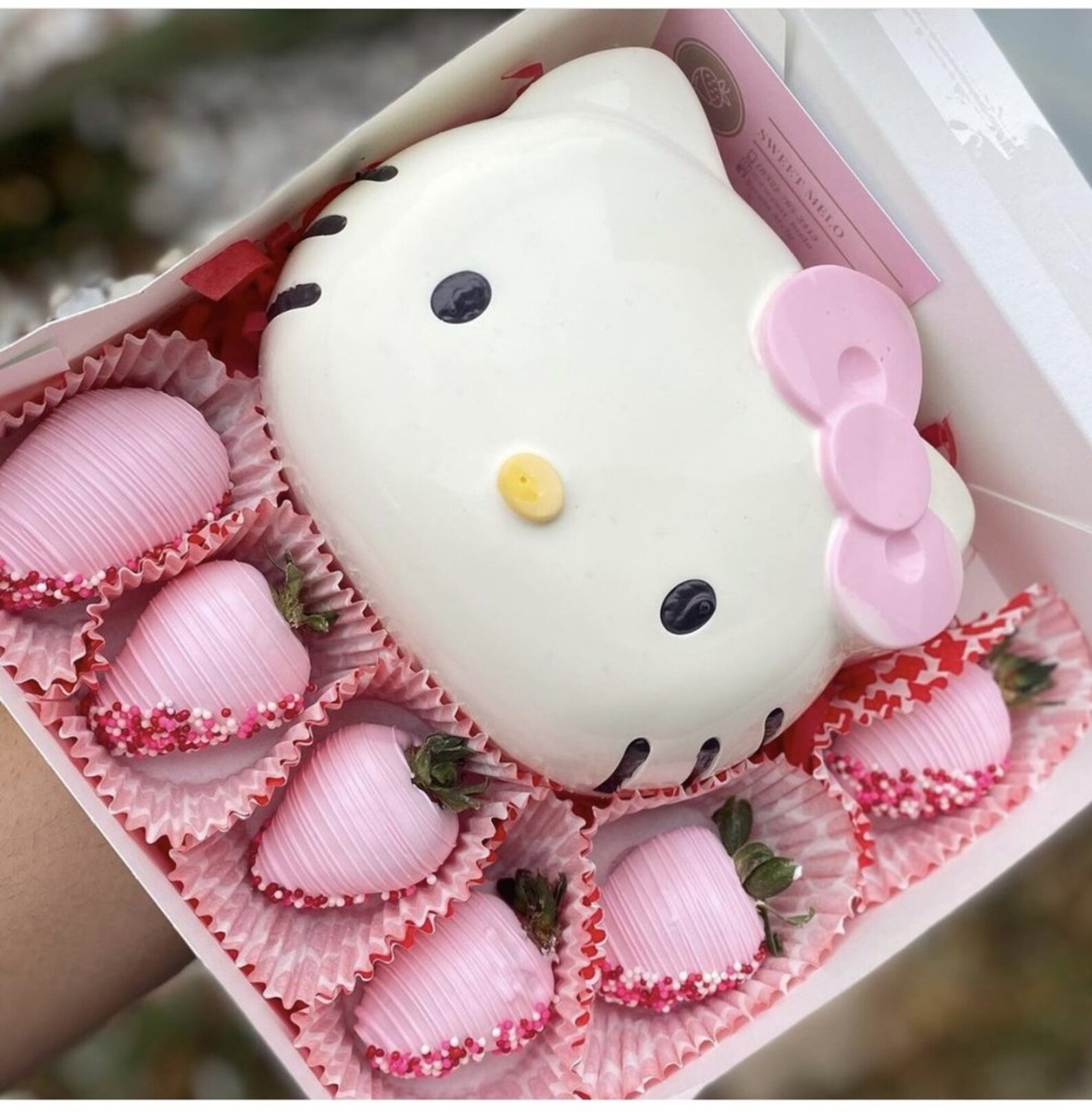 HELLO KITTY BREAKABLE Silicone Mold Available in 3 sizes Etsy