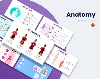 Anatomy Infographics | Template for Powerpoint | Best Powerpoint Template | Easy to Edit