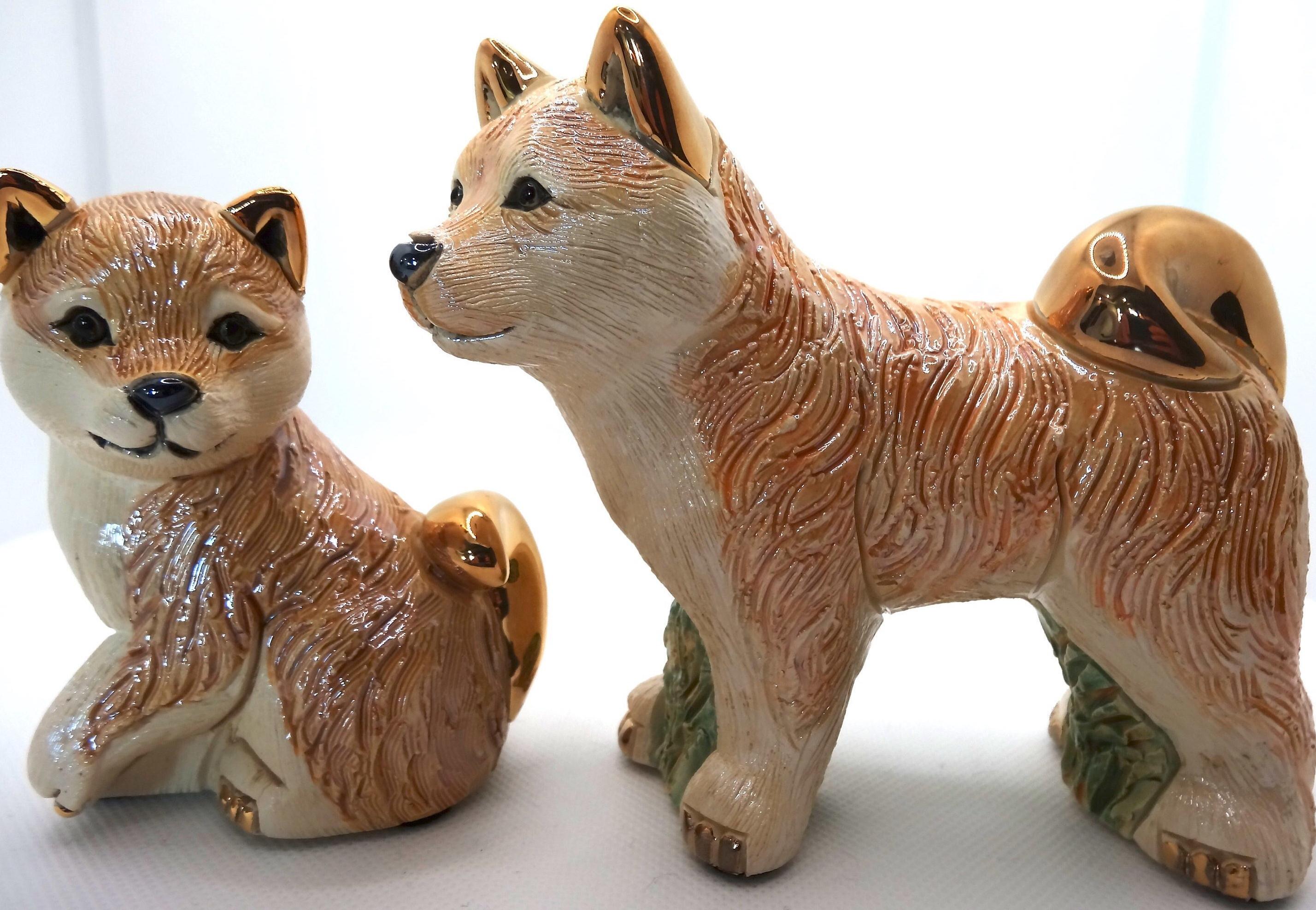 shiba 