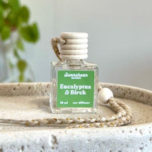 Eucalyptus & Birch | Car Diffuser