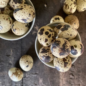 Hollowed Quail Eggs